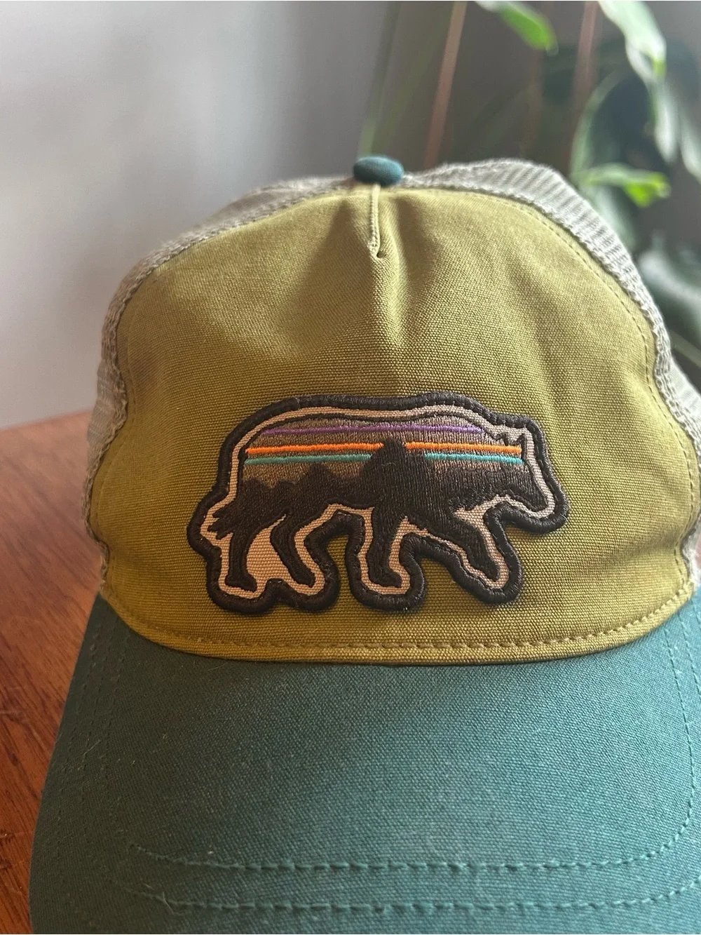 Patagonia dope fitz